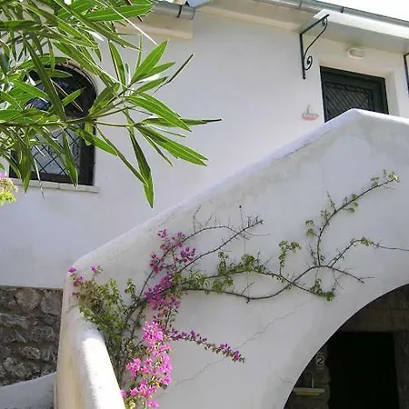Alexandra Villas *